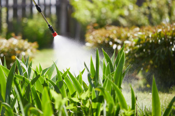 24/7 Emergency Mosquito Control experts in Fort Hunt, VA